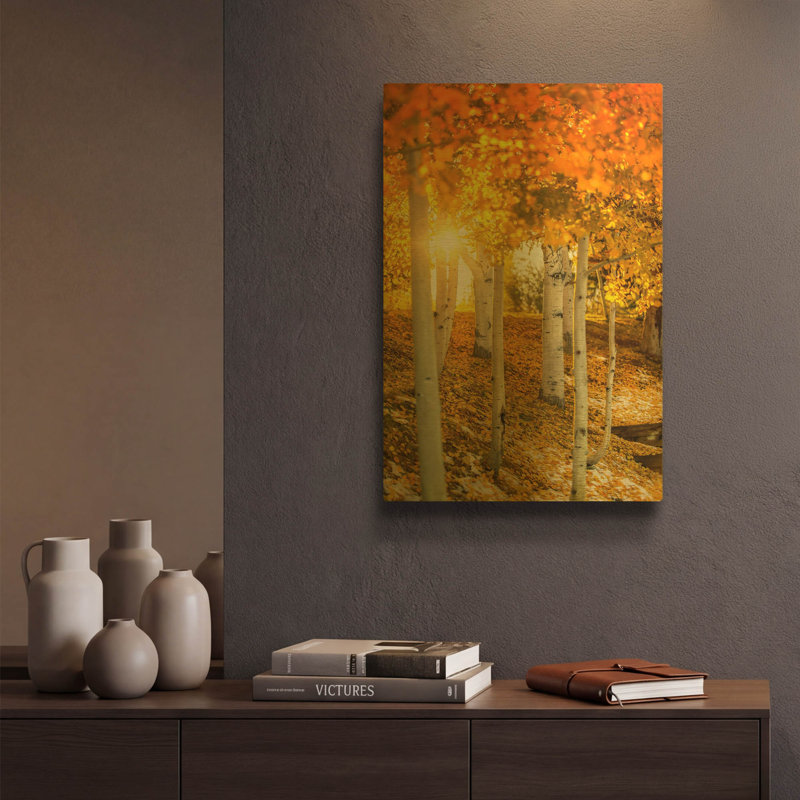 « Aspen Glow » de Jonathan Ross, tableau mural en métal doré, 30,5 x 40,5 cm, 12 po x 16 po