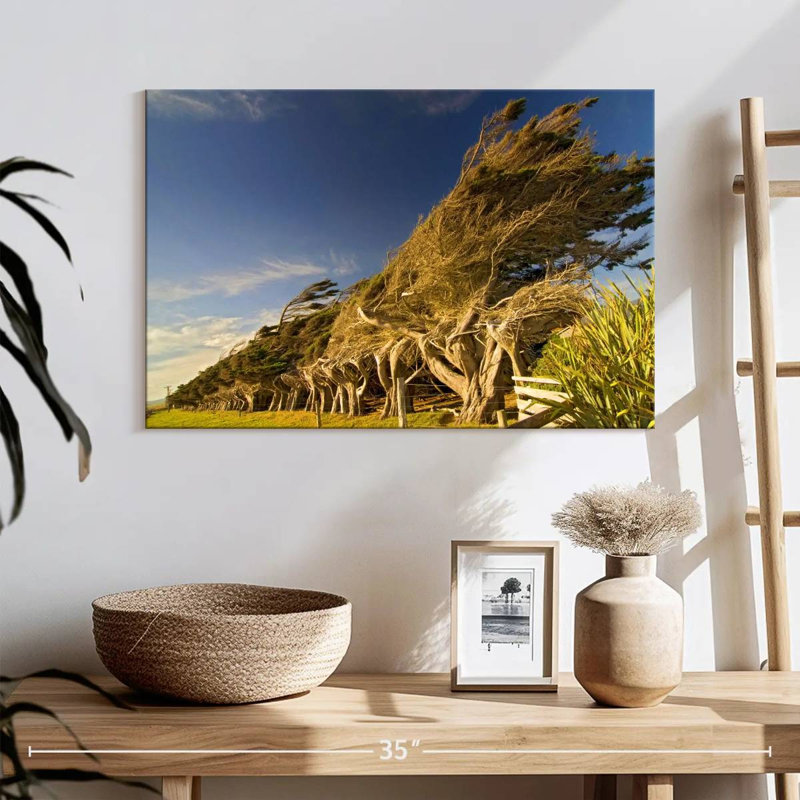 Slope Point Forest, 16" H x 24" W