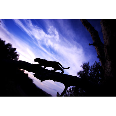Leopard Silhouette by Aydinmutlu - No Frame Print on Canvas