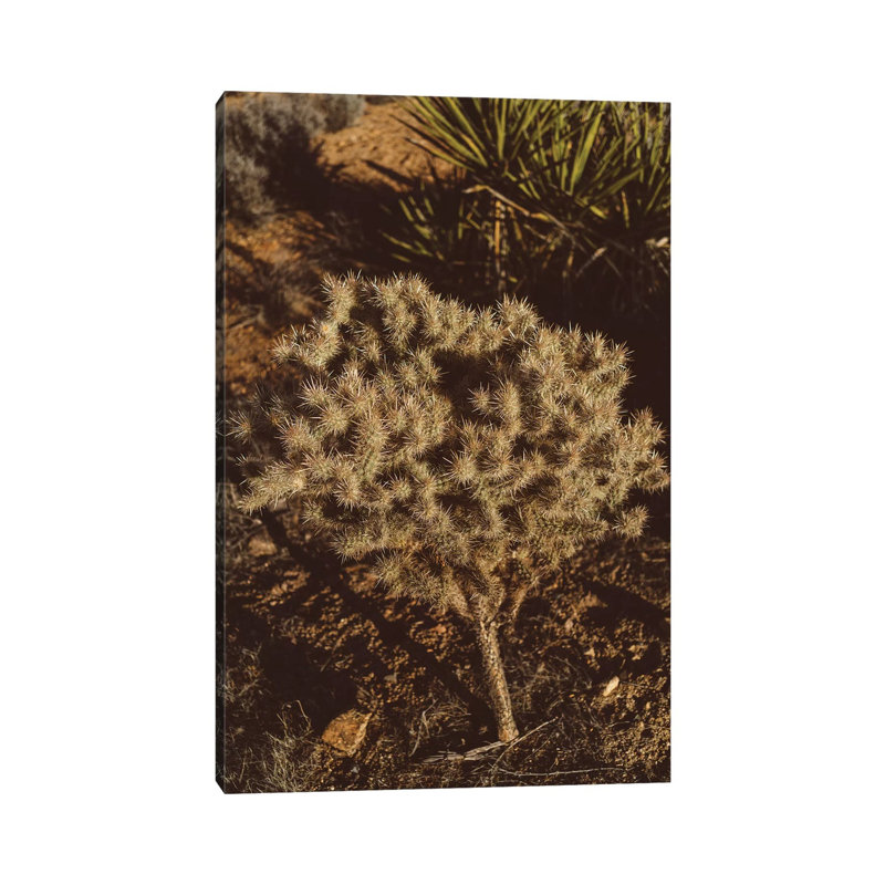 Joshua Tree National Park XIX by Bethany Young - Print on Canvas, 101.6cm H x 66.04cm W x 3.81cm D, Wrapped Canvas