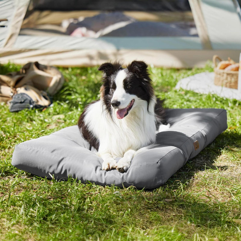 Pet Bed