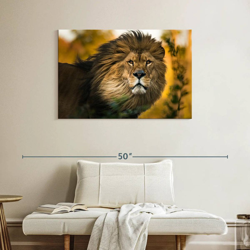 Splendeur de tête de lion Brampt