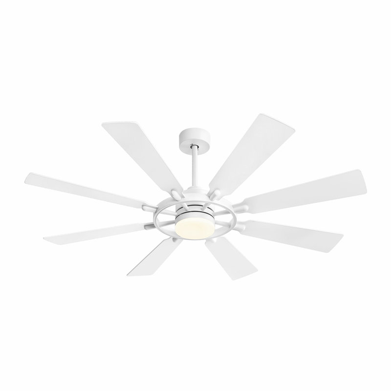 Antoinesha 8 lumières DEL standard avec télécommande et ensemble d'éclairage inclus, Blanc, Blanc, 80"