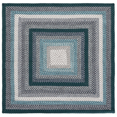 Braided Hand Woven Machine Washable Striped Outdoor Indoor/Outdoor Area Rug