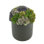 Faux Succulent Plant in Fiberstone Planter
