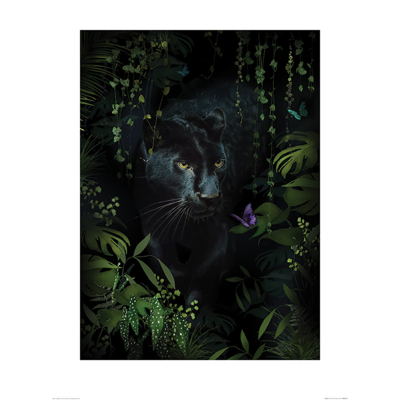 Panther by Summer Thornton - No Frame Painting, 30 cm H x 30 cm W