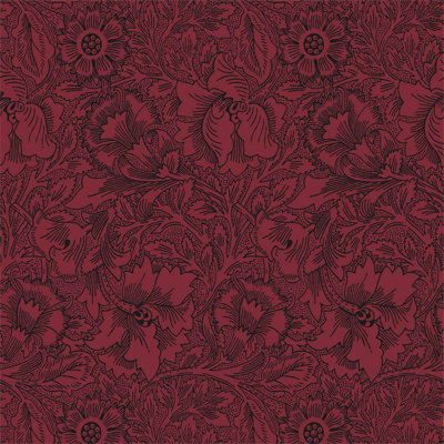 Poppy Wallpaper