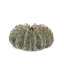 Vase de table en céramique Sunken Moss Green 6,75 "