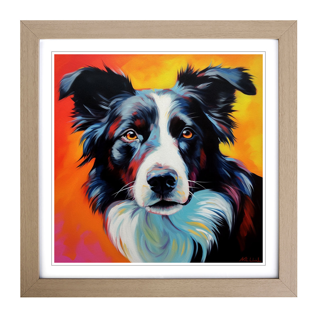 Border Collie Color Field Painting - Framed Print