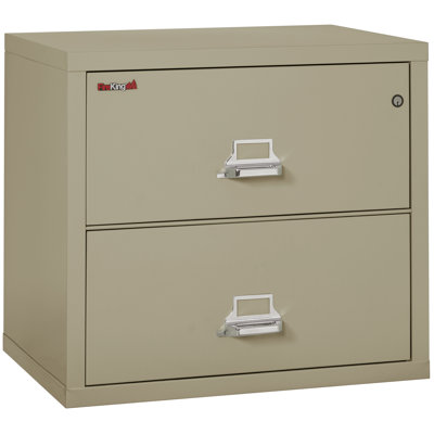 Fireproof 2 - Drawer File Cabinet