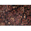 Tapis de couloir traditionnel 3 x 16