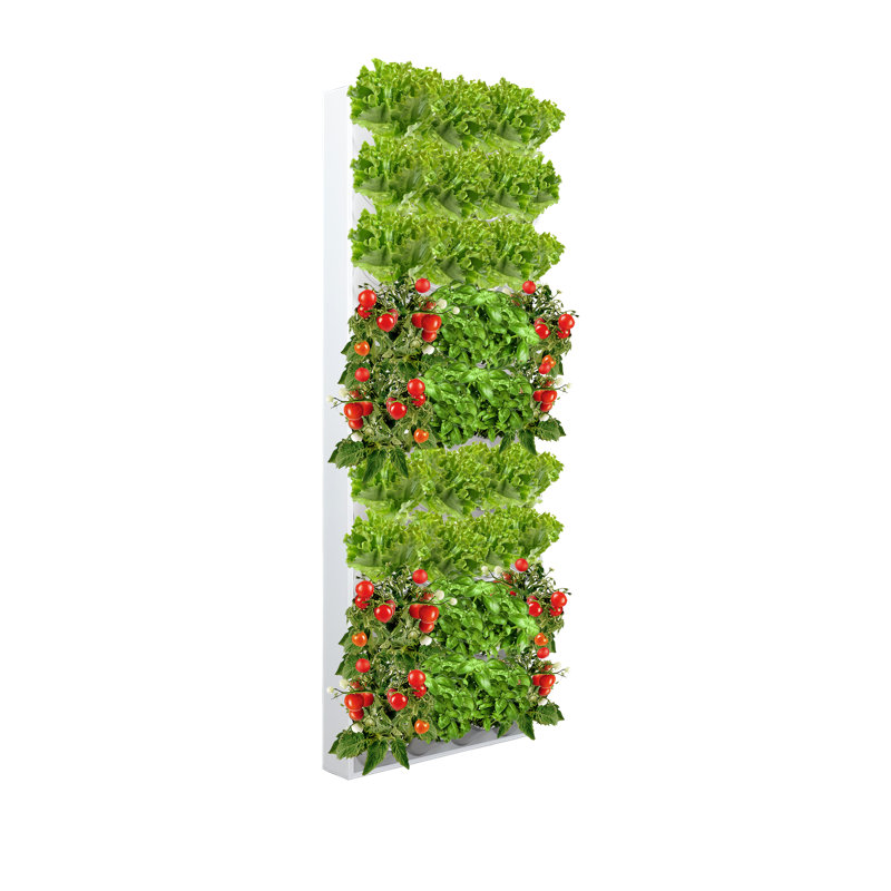 Chilton Vertical Garden, White
