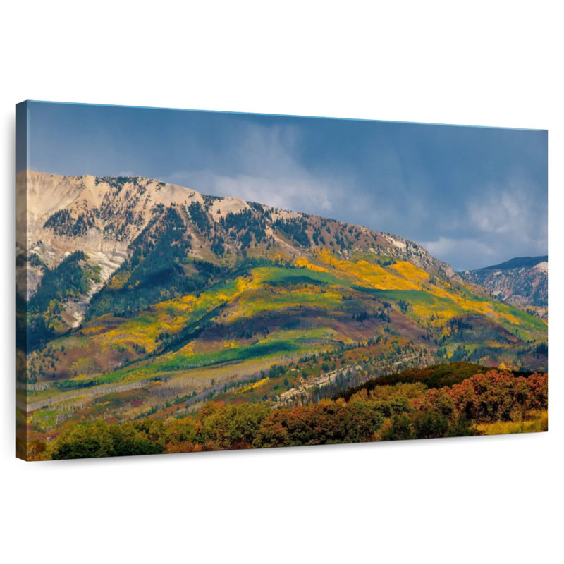 Alvord Mountain And Trees
