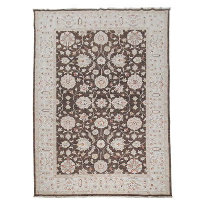 Davey Hand Knotted 6x9 Brown Rug