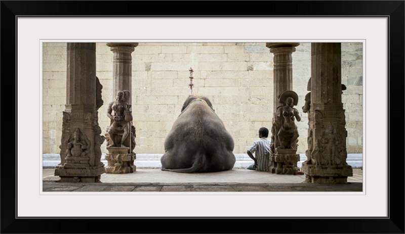Straub, «The Elephant and Its Mahot», reproduction de photo, H 23 po x l 38 po x P 1 po, Cadre noir