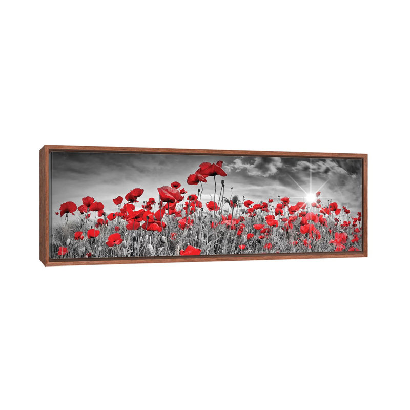 "Champ de coquelicots" par Melanie Viola, reproduction d’art graphique panoramique, H 12 po x l 36 po x 1,5 po
