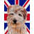 Terrier de Norfolk (brun et beige) sélectionné
