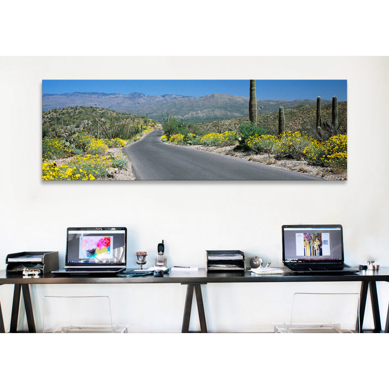 « saguaro national park, tucson, pima county, arizona », reproduction de photo sur toile, H 12 po x l 36 po x P 1,5 po
