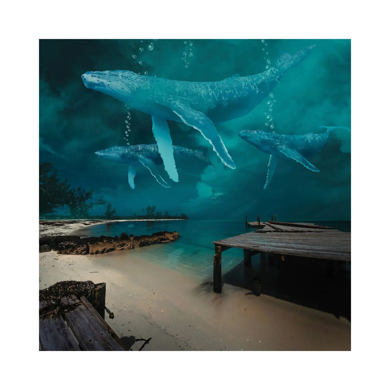 Ghost Whale At Night by David Loblaw - Print on Canvas, 30.48 cm H x 30.48 cm W, Wrapped Canvas