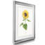 «Sunflower I» par J Paul - reproduction d'art encadrée-1374442930-1374442933