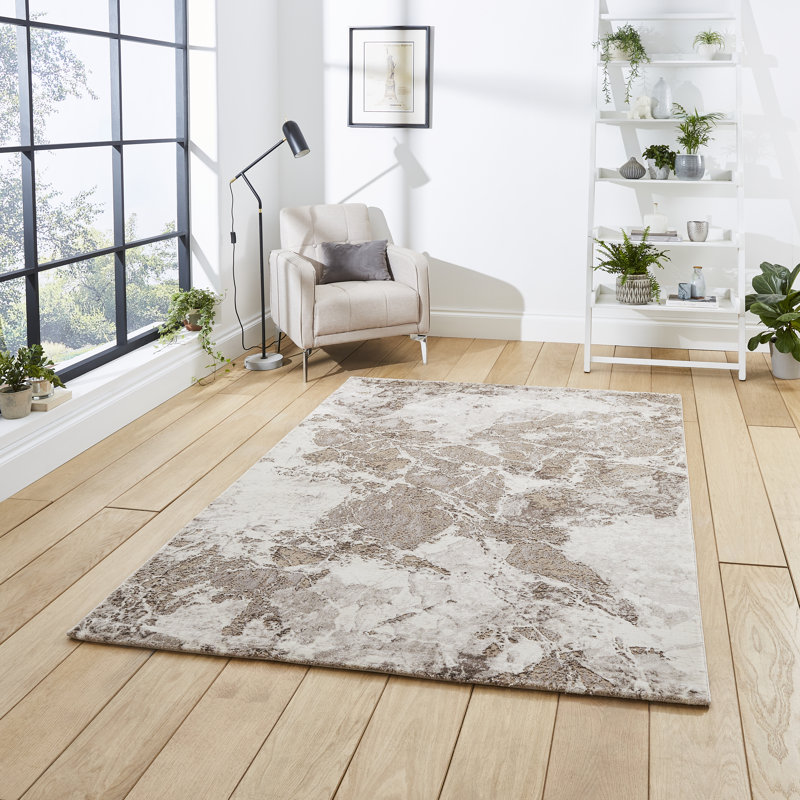 Hannover area rug Machine Woven Rectangle Beige/Silver, Rectangle 120 x 170cm