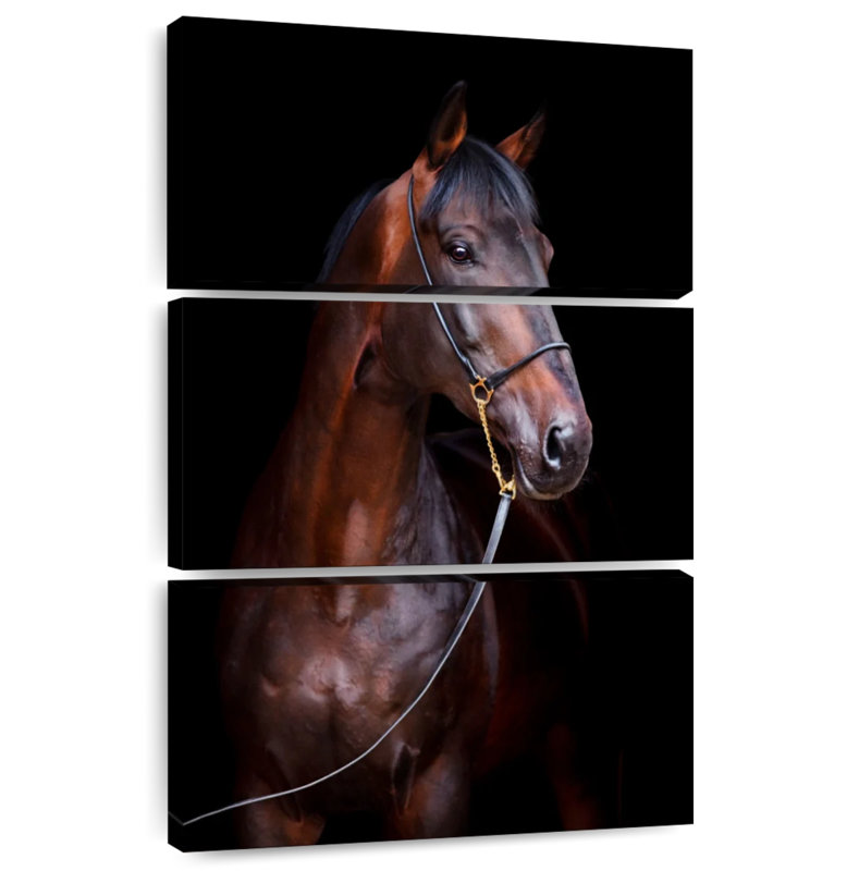 Brampt Horse Photo, 32" H x 20" W