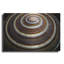 «Shell Spiral III» par Dennis Frates-1378420432
