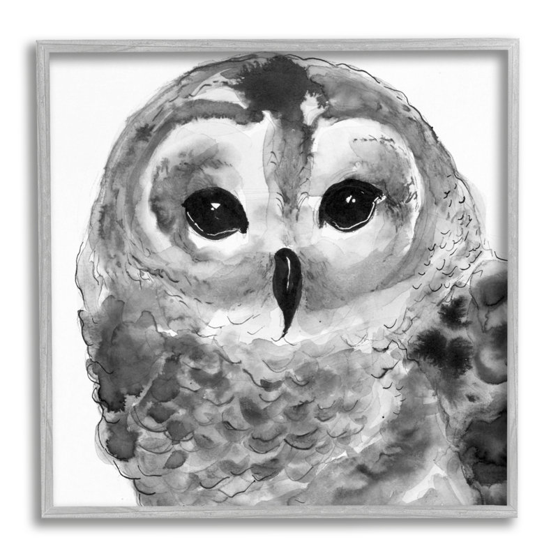 Tranquil Barn Owl, L 24 po x H 24 po, Estampe numérique Farmhouse