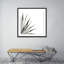 Agave II Print by Jess Engle-48615490-48615491