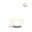 Luna Lamp 23.5" RGBW-1012468997-1012468998-1012469005