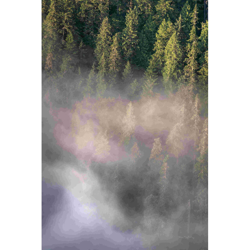 Brouillard et forêt II - photographie, H 48 po x l 32 po, Toile tendue