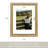 Matte Picture Frame-1995160122-1995160123