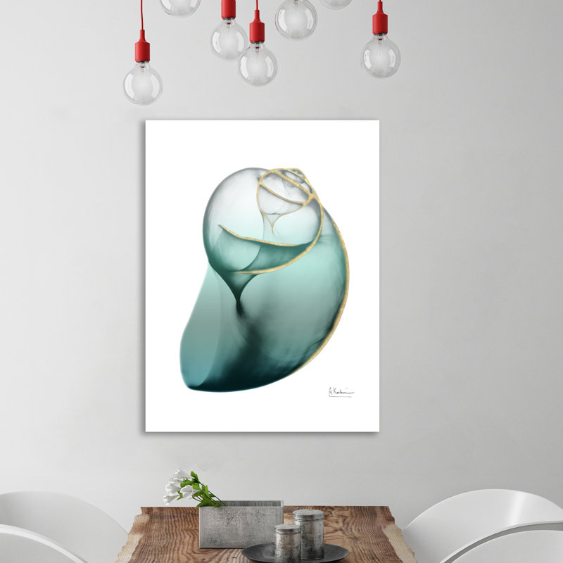 Shimmering Snail 3 - Wrapped Canvas Print, 41 cm H x 30 cm W