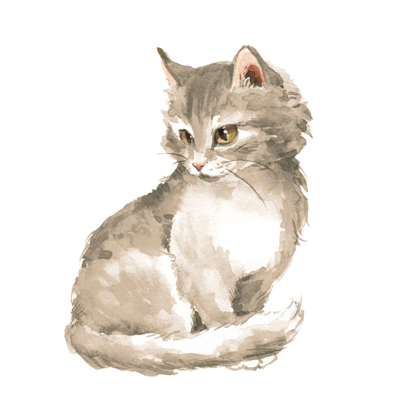 Fluffy Kitten by Ogri - Wrapped Canvas Painting, 51cm H x 51cm W