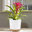Ensemble de 2 jardinières avec trous de drainage et sauce-903023424-903023455