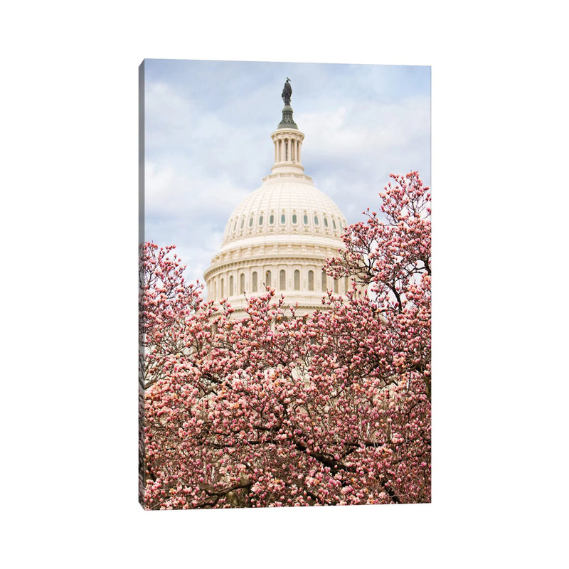 Cherry Blossoms At The Capitol Building by Susan Schmitz - Wrapped Canvas Gallery-Wrapped Canvas Giclée