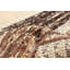 Tapis brun Sienna 5 pi 5 po x 7 pi 11 po