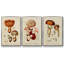 Mushroom Variétés I - ensemble de 3 reproductions sur toile-97708641-97708642