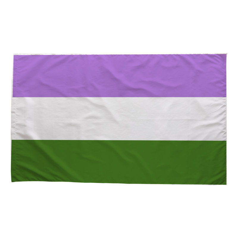 Drapeau de la fierté de genre - drapeau extérieur, 36" H x 60" W