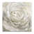 Wrapped Canvas
