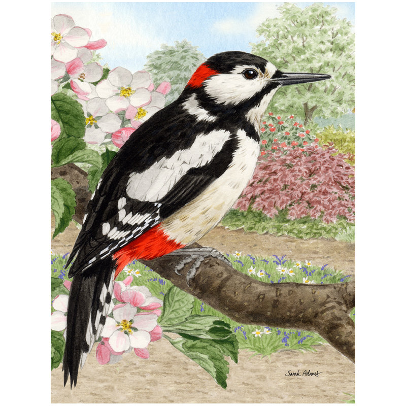 Polyester à 2 côtés 40 x 28 po drapeau maison Woodpecker