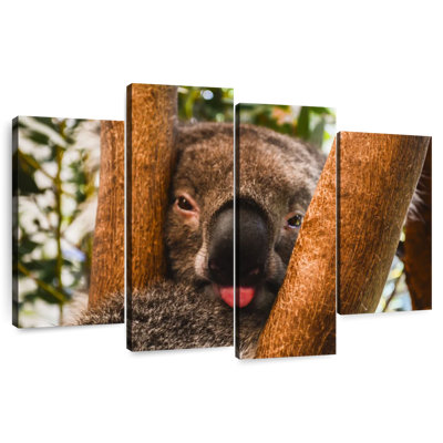 Funny Koala