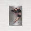 «Focus» par TM Borenstein-2141858106