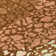 Abstract Indoor / Outdoor Rug