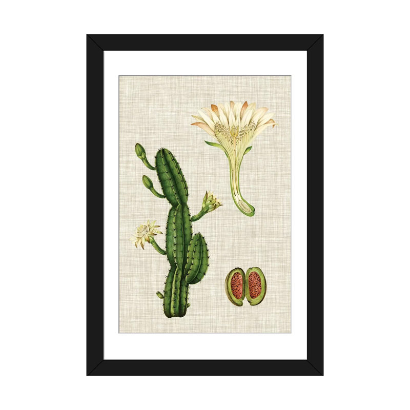 «Elegant Tropicals III», impression sur toile tendue, H 24 po x l 16 po x P 1 po, Papier d'art encadré noir, Blanc
