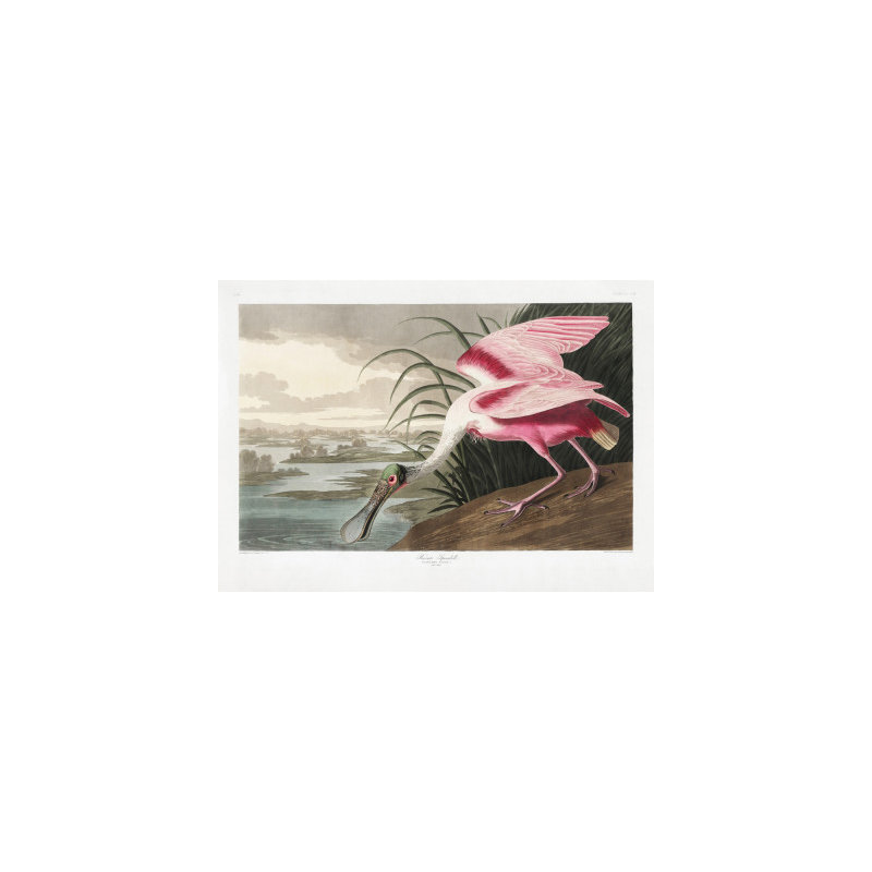 Wrapped Canvas Print, 50.8 cm H x 76.2 cm W