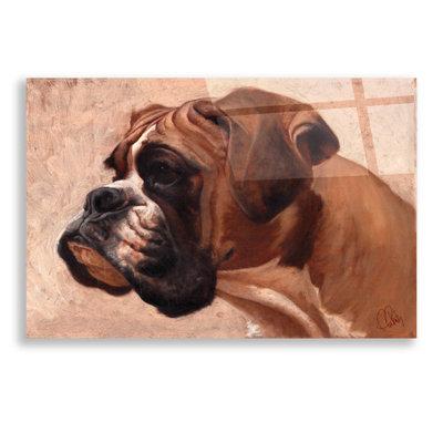 " Boxer "