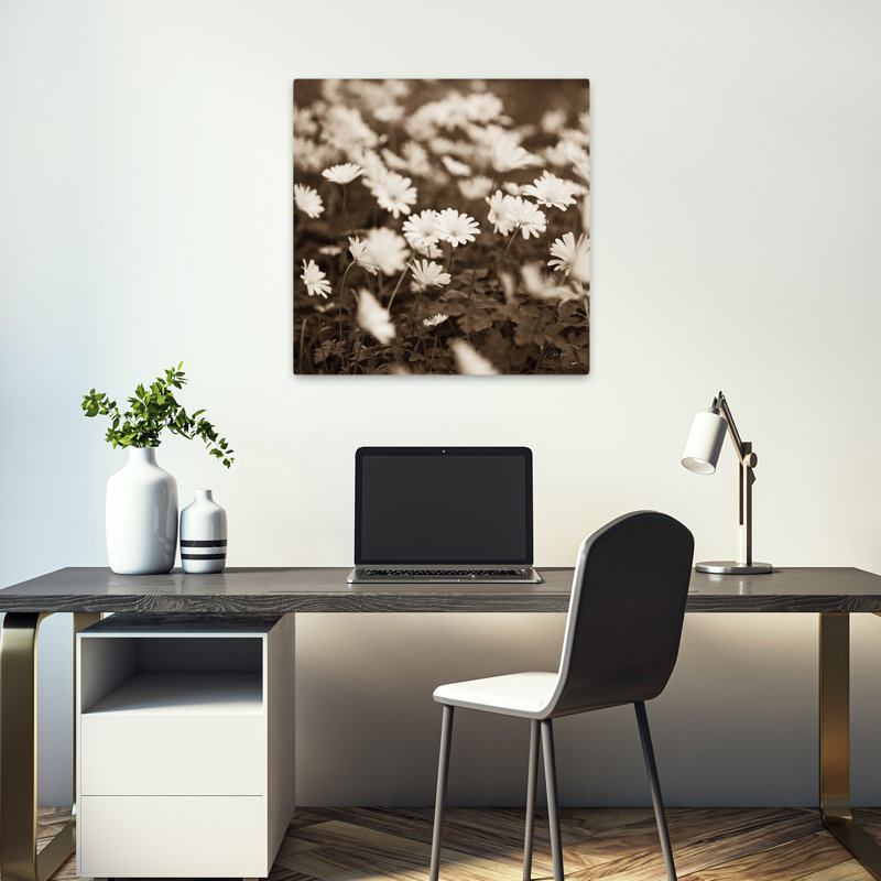 Art floral contemporain Wild Daisies, H 18 po x l 18 po
