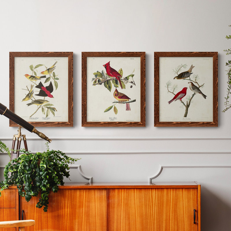 Pl 354 Louisiana Tanager - Ensemble de 3 peintures sur toile encadrées, H 24 po x l 36 po x P 1,5 po, Érable