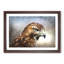 Hawk - Picture Frame Painting Print-56712031-56712032